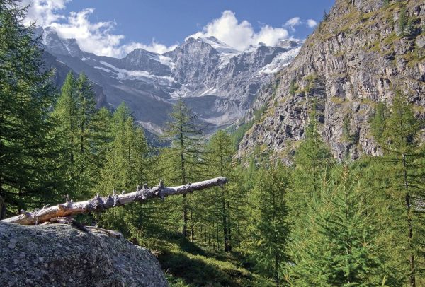 I CASTELLI DELLA VALLE D’AOSTA